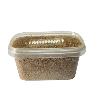 Mushroom Substrate Tub (500ml)