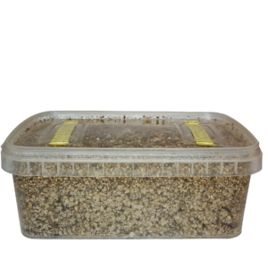 Mushroom Substrate Tub (1200ml)
