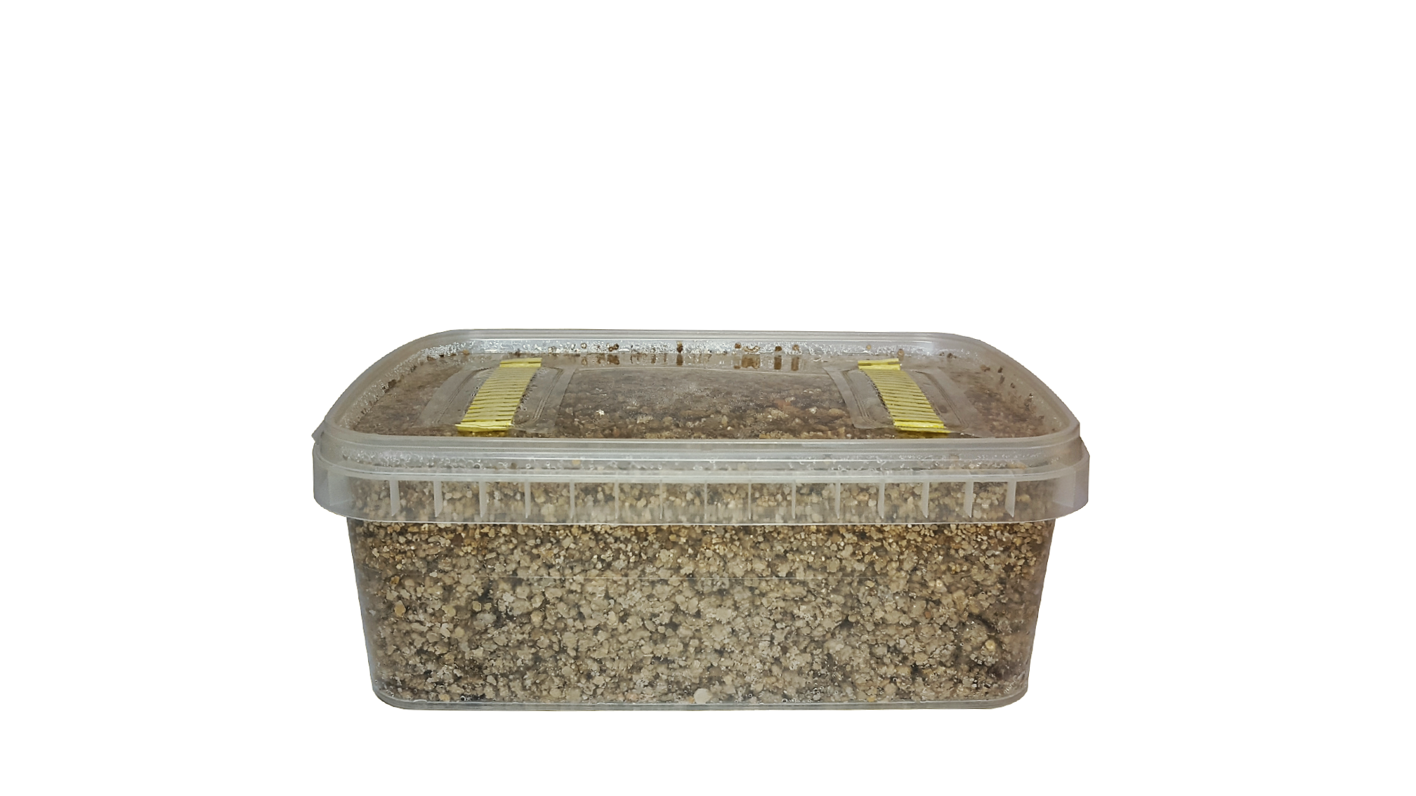 Mushroom Substrate Tub (1200ml)