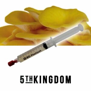 Golden Oyster Liquid Culture