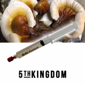 Golden Reishi Liquid Culture