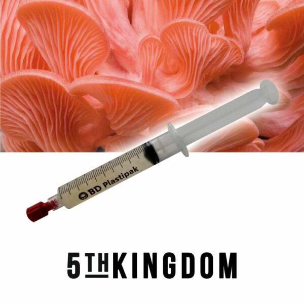 Pink Oyster Liquid Culture Pink Oyster Liquid Culture