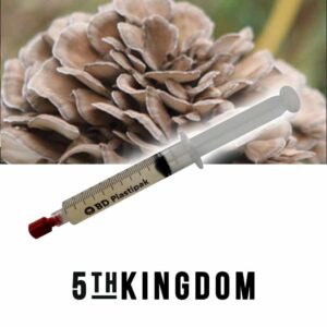 Maitake Liquid Culture