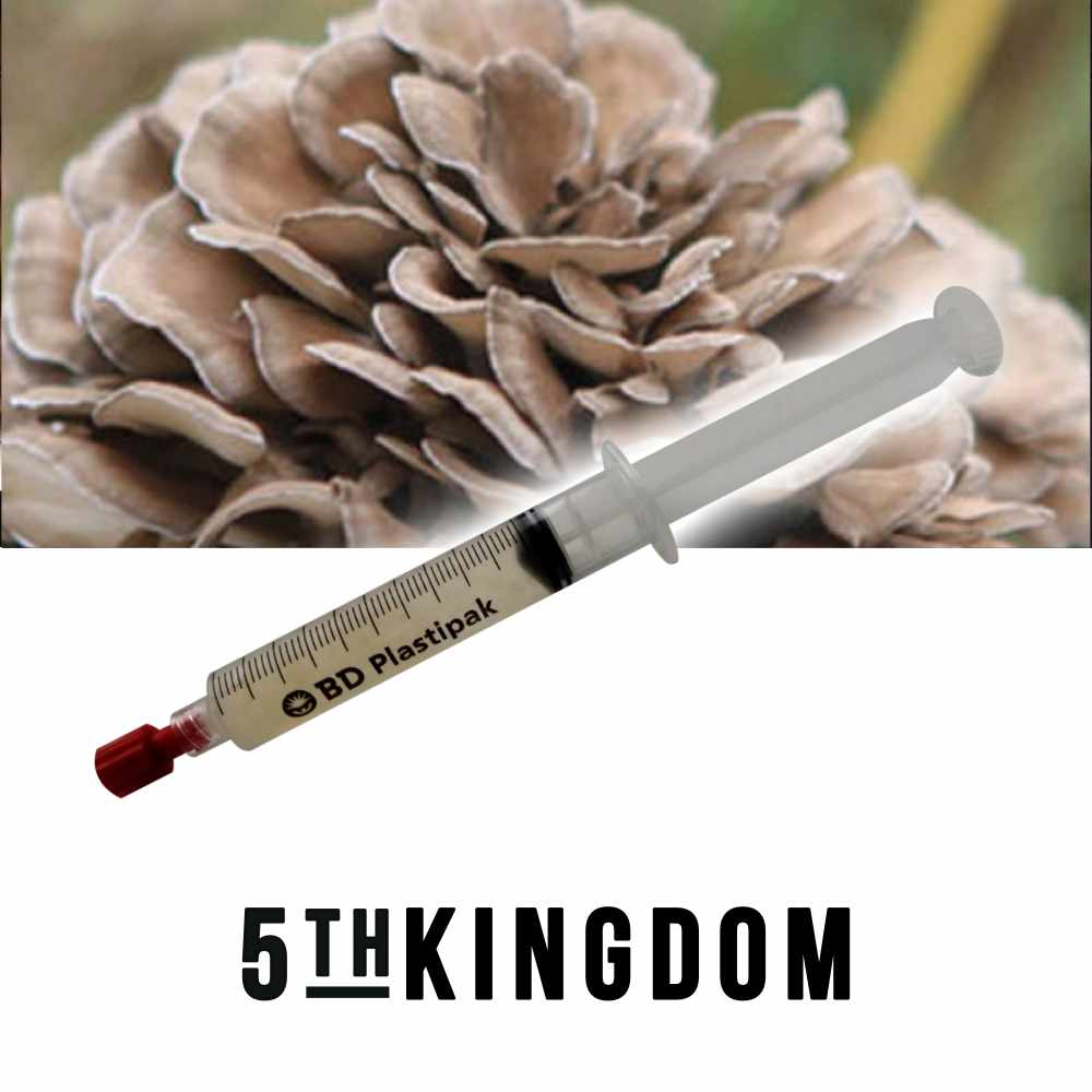 Maitake Liquid Culture Syringe