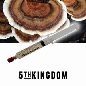 Turkey Tail Liquid Culture