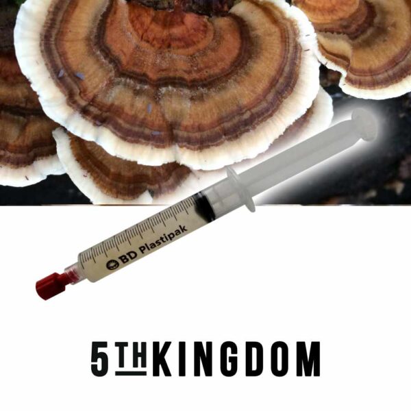 Turkey Tail Liquid Culture