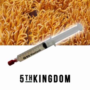 Cordyceps Liquid Culture