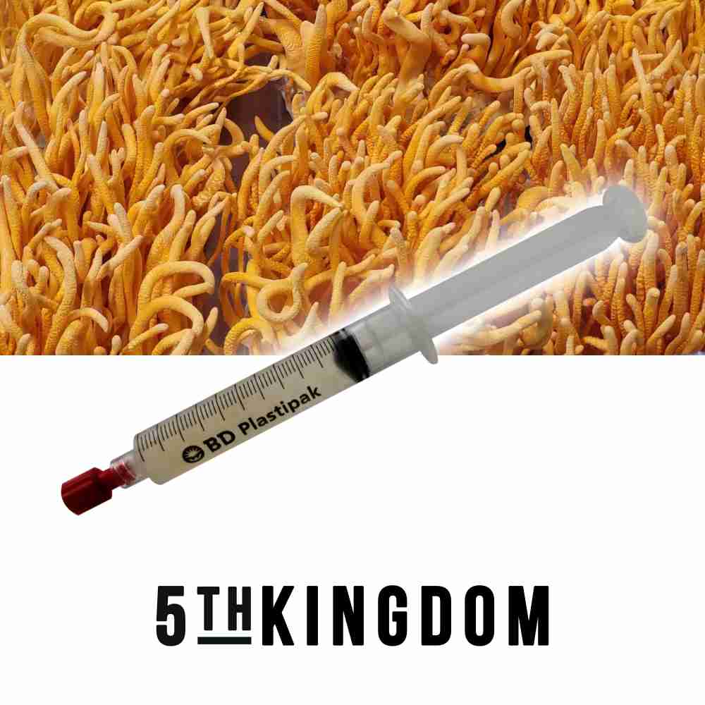 Cordyceps Liquid Culture Syringe