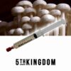 Enoki Liquid Culture