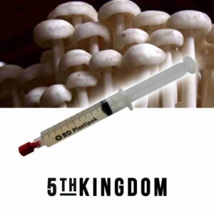 Enoki Liquid Culture