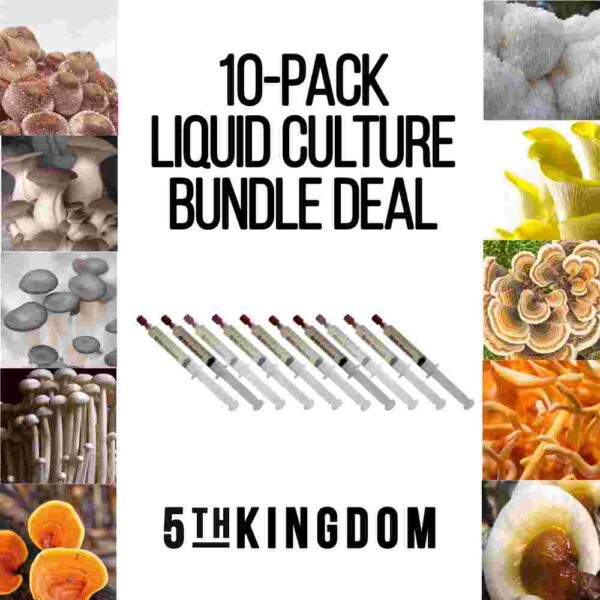 10 pack liquid culture deal
