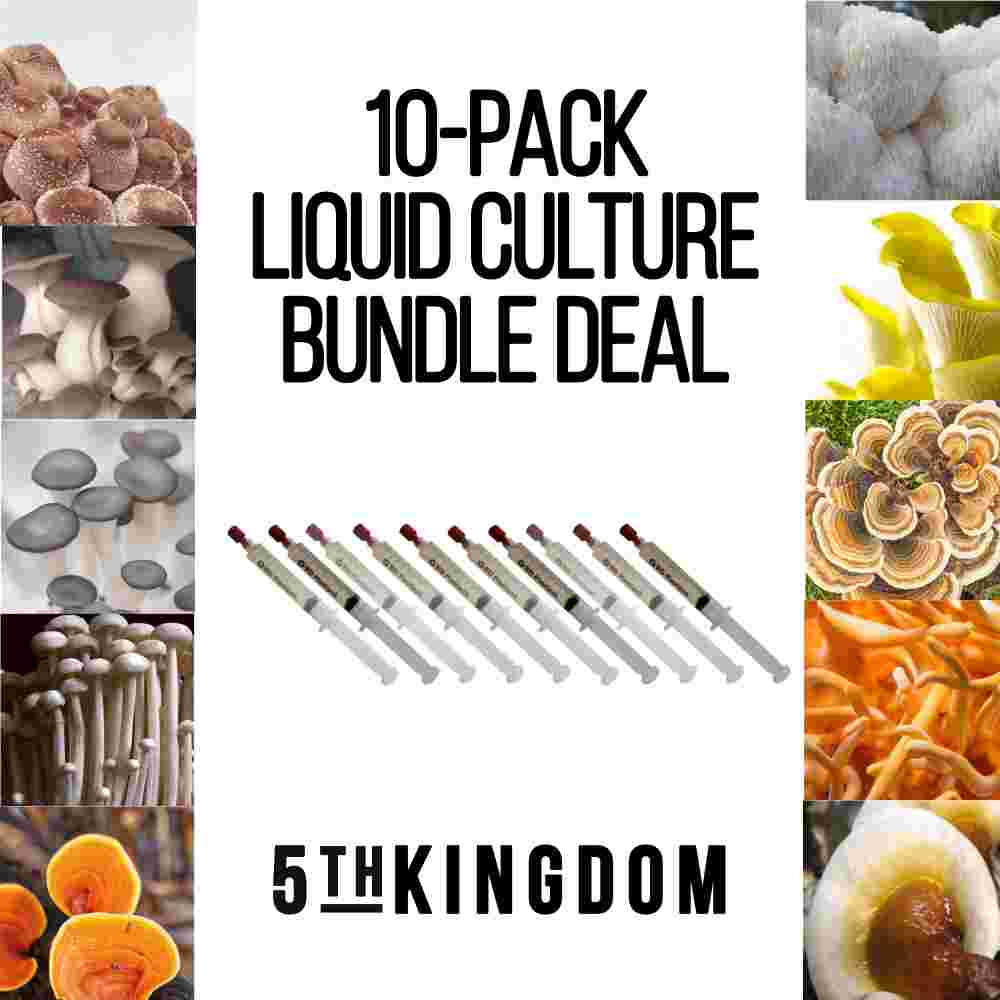 10 Pack Mushroom Liquid Culture Bundle Deal