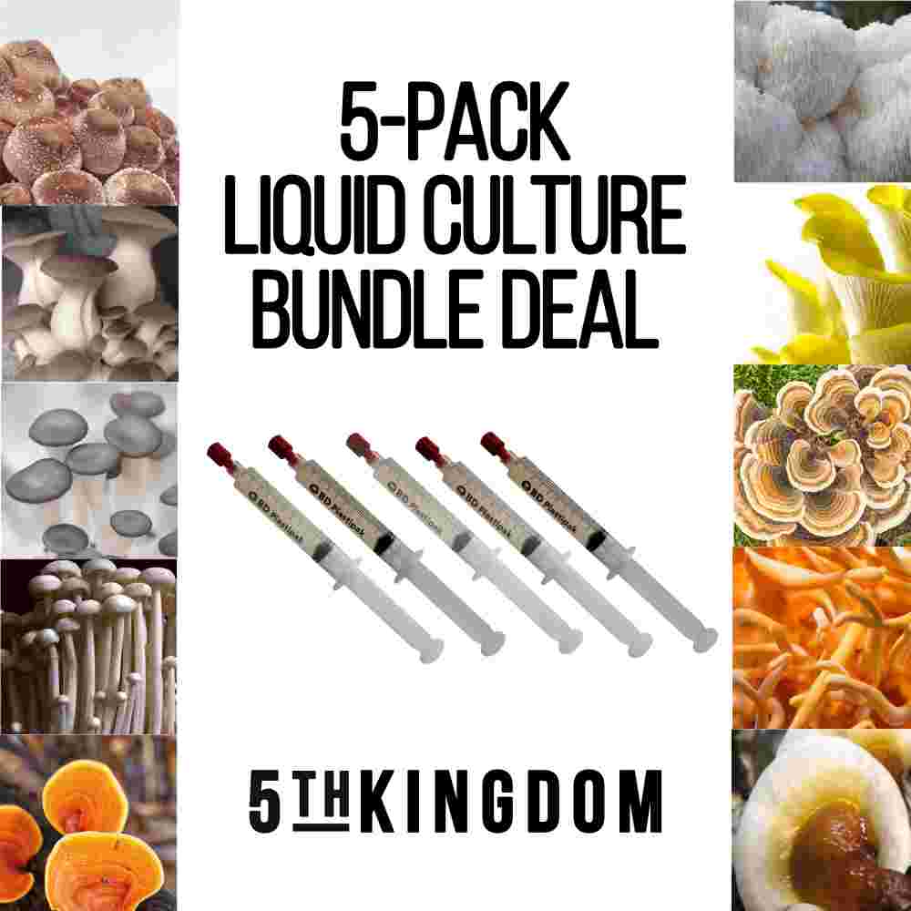 5 Pack Mushroom Liquid Culture Bundle Deal